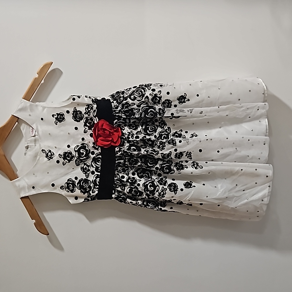 Girls Floral Velvet Dress